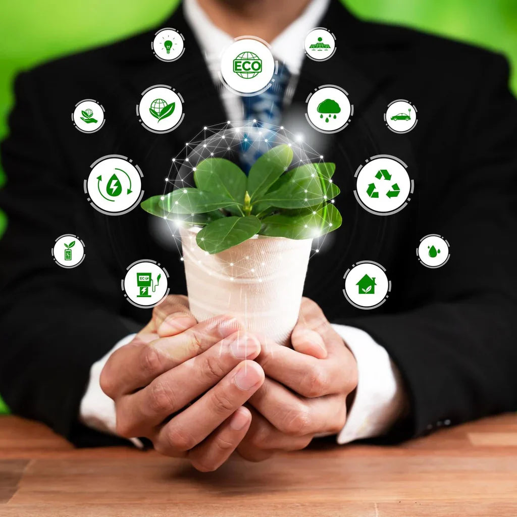 The Power of Eco-Friendly Choices: How Small Steps Create Big Impact